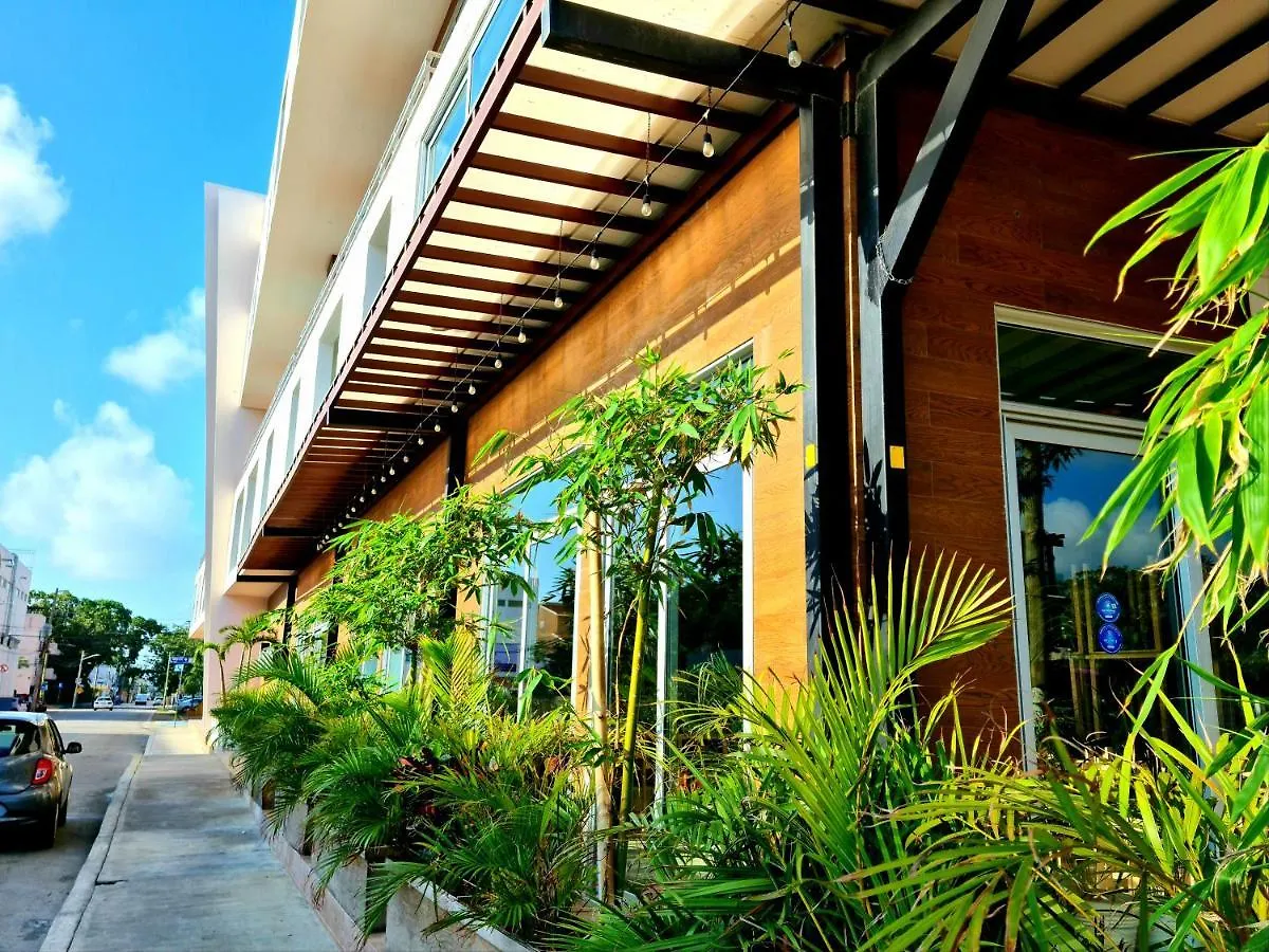 The Gallery Luxury Condo By Sol-Ha Playa del Carmen